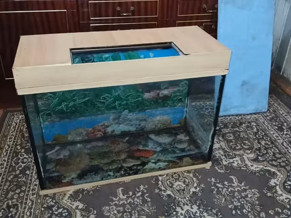 Ակվարիում 130 լ տարողություն