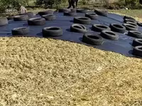 Եգիպտացորենի Սիլոսի Վաճառք — الصورة 1