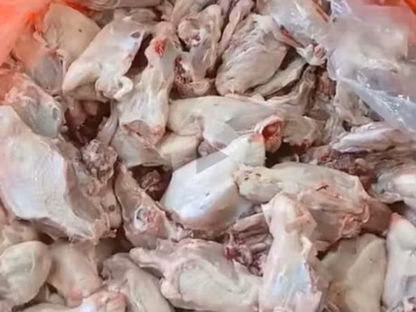 Toyuq Supluq Bel tiri qiymət hər məhsulun kq görə dəyişir. Toyuq
