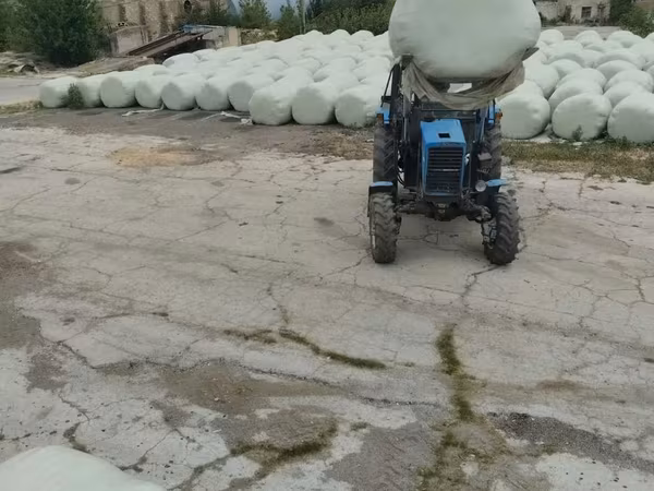 Vindem senaj de Lucerna
