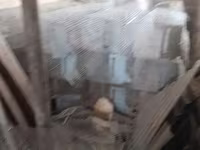 Հավերի վանդակներ — լուսանկար 5