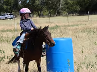 Caballo, Pinto horses — foto 3
