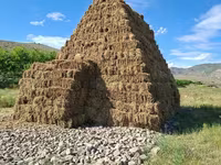 Առվույտի հակեր (տուկեր) մեծածախ — الصورة 4