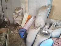 Қуруқ Қўй гўнги қопланган, доставкаям бор — լուսանկար 1