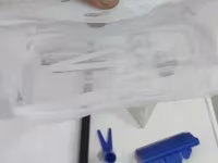 Ակվարիում ձկներով — լուսանկար 3
