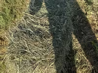 Խոտի տուկ Խառ խոտ — photo 4