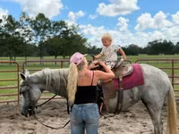 فرس, Quarter Horse — الصورة 5