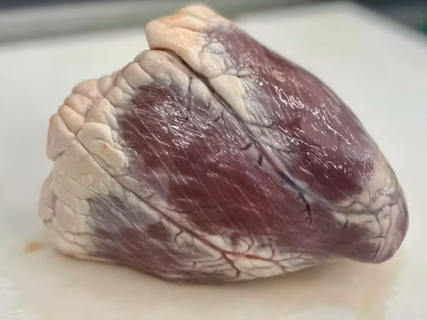 Субпродукты беларусь легкие,почки,трахеи