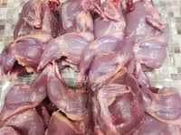 Quails — फ़ोटो 8