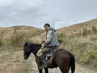 Айғыр, Azerbaijan horse — 3-сурет