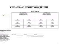 Խոյ, Dorper sheep — լուսանկար 7