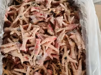 Ноги куриные (монолит, фасовка) — լուսանկար 1