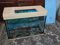 Ակվարիում 130 լ տարողություն — լուսանկար 1
