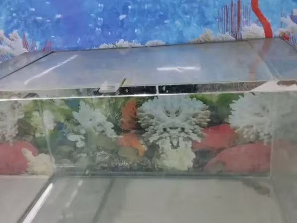 Аквариум из толстого стекла 70л