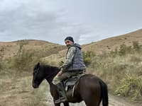 Айғыр, Azerbaijan horse — 1-сурет