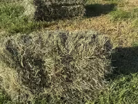 Խոտի տուկ Խառ խոտ — photo 2