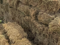 Продаём тюки люцерны — foto 3