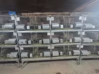 Շինշիլայի վանդակներ — լուսանկար 2