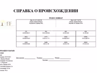 Խոյ, Dorper sheep — լուսանկար 5