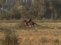 Бие, French Trotter — 4-сурет