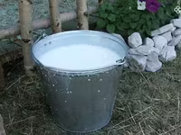 Կաթ, անարատ, կաթնամթերք — լուսանկար 1