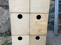 Կարելայի ձվադրման բներ — photo 1