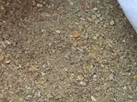 Համակցված կեր թռչունների համար — լուսանկար 2