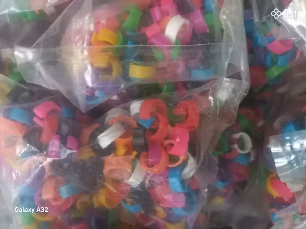 Կալցո կոլցո ղշի կալցո