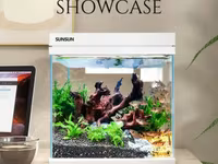 Գործարանային Ակվարիում SUNSUN HEJ-380 22լ, 4W LED (Аквариум, Aquarium) ԱՆՎՃԱՐ Առաքում Երևանում — լուսանկար 1