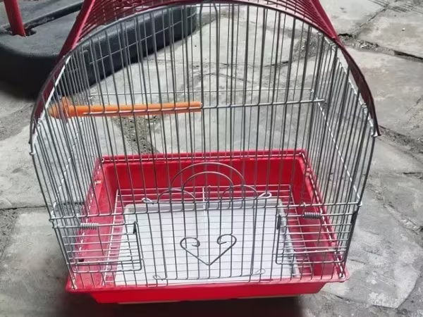 Միջին չափի թռչունի վանդակ