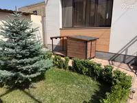 Շան բուն մեծտեսականի — Foto 2
