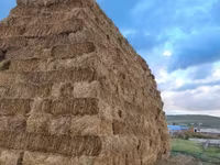 Խոդի տուկ խոդ խամի խոդ — photo 5