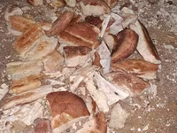 Չորացրած հաց անասնակեր — Foto 2