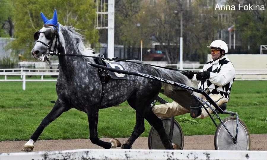 Orlov Trotter