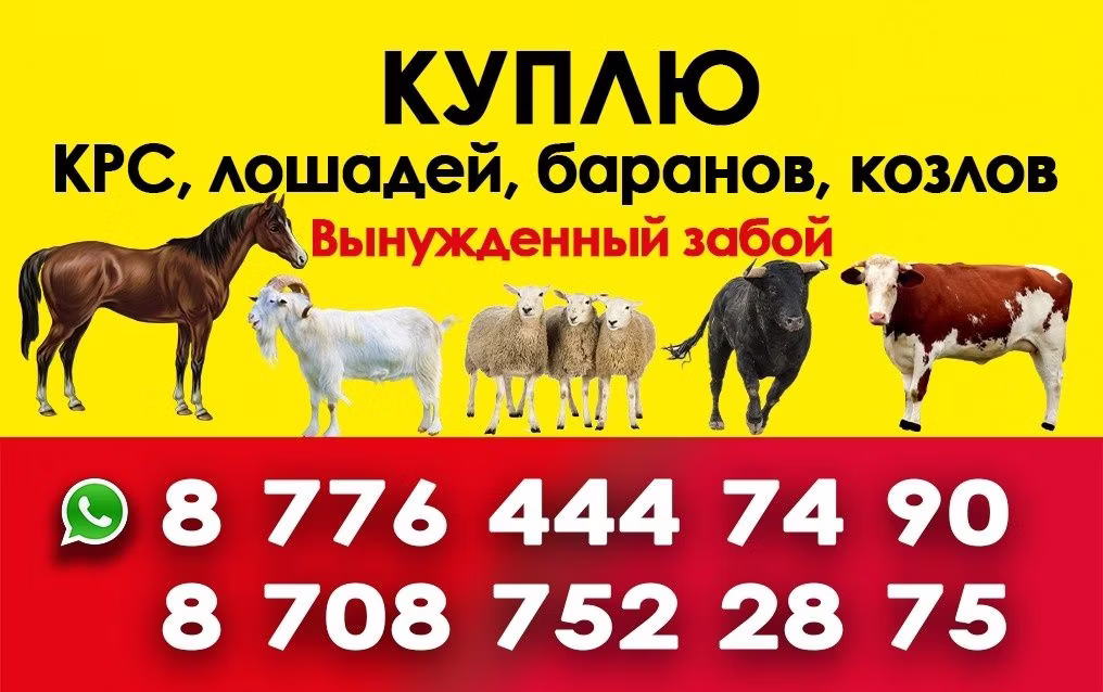Аттын тукумдары